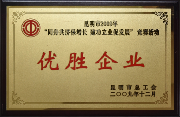 昆明市2009年 同舟共濟保增長 建功立業促發展 優勝企業