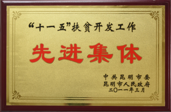 十一五扶貧開發先進集體